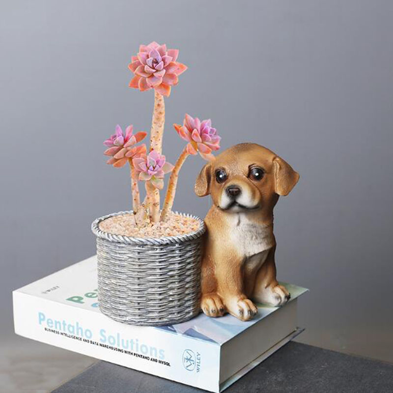 Household Living Room Office R - огляд і ціна Bonsai Garden Art