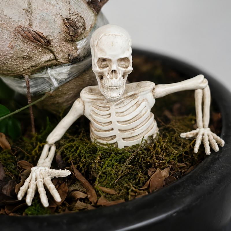 Half-body Climbing Out of the  - огляд і ціна Bonsai Garden Landscape Design